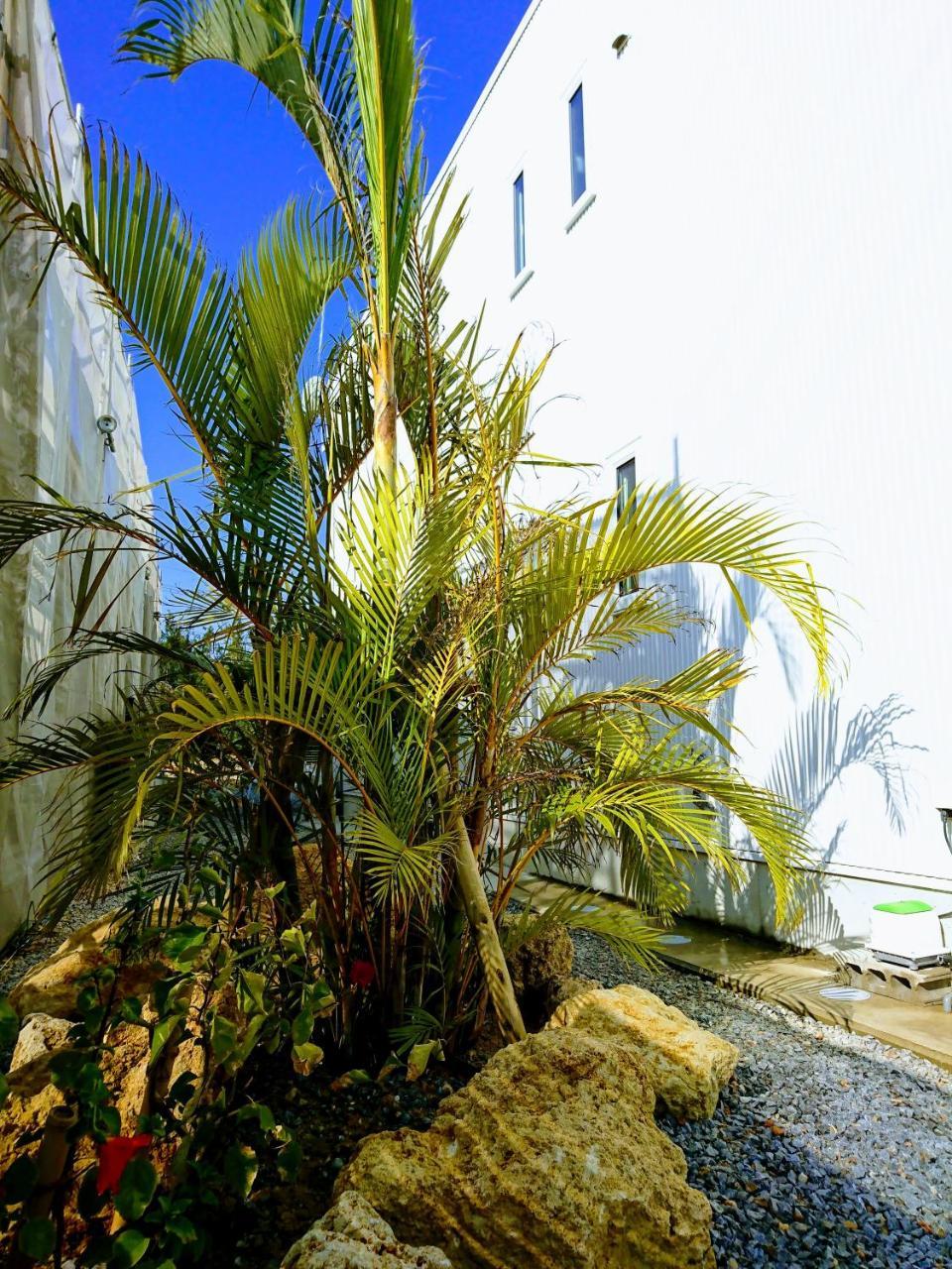 Premium Cottage Comfort Okinawa Onna Kültér fotó
